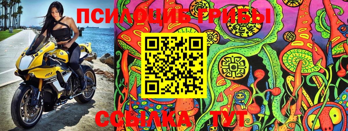 Галлюциногенные грибы Psilocybe  Вход с VPN  Псилоцибиновые грибы Psilocybe  магазин продажи   Чапаевск 